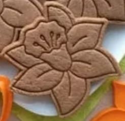 A close-up photograph of a flower-shaped cookie with an intricate design. The cookie has a detailed floral pattern embossed on its surface, which resembles the shape and details of a daffodil. The cookie is surrounded by other cookies and decorations, partially visible, adding a touch of color and context to the scene. The brown color of the cookie contrasts with the bright orange and green elements nearby